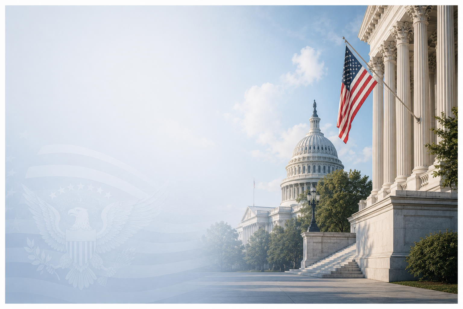 Government background